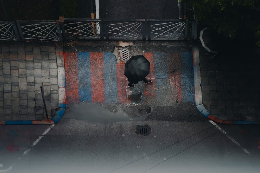 丰泽童装全球产业链服务中心揭牌建立